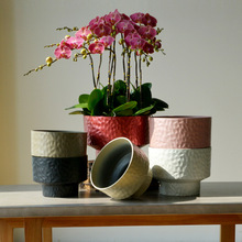 �¿�����m�M�ϻ��躆�s�p���N�y���ϻ����҃ȭh�����Gֲ������