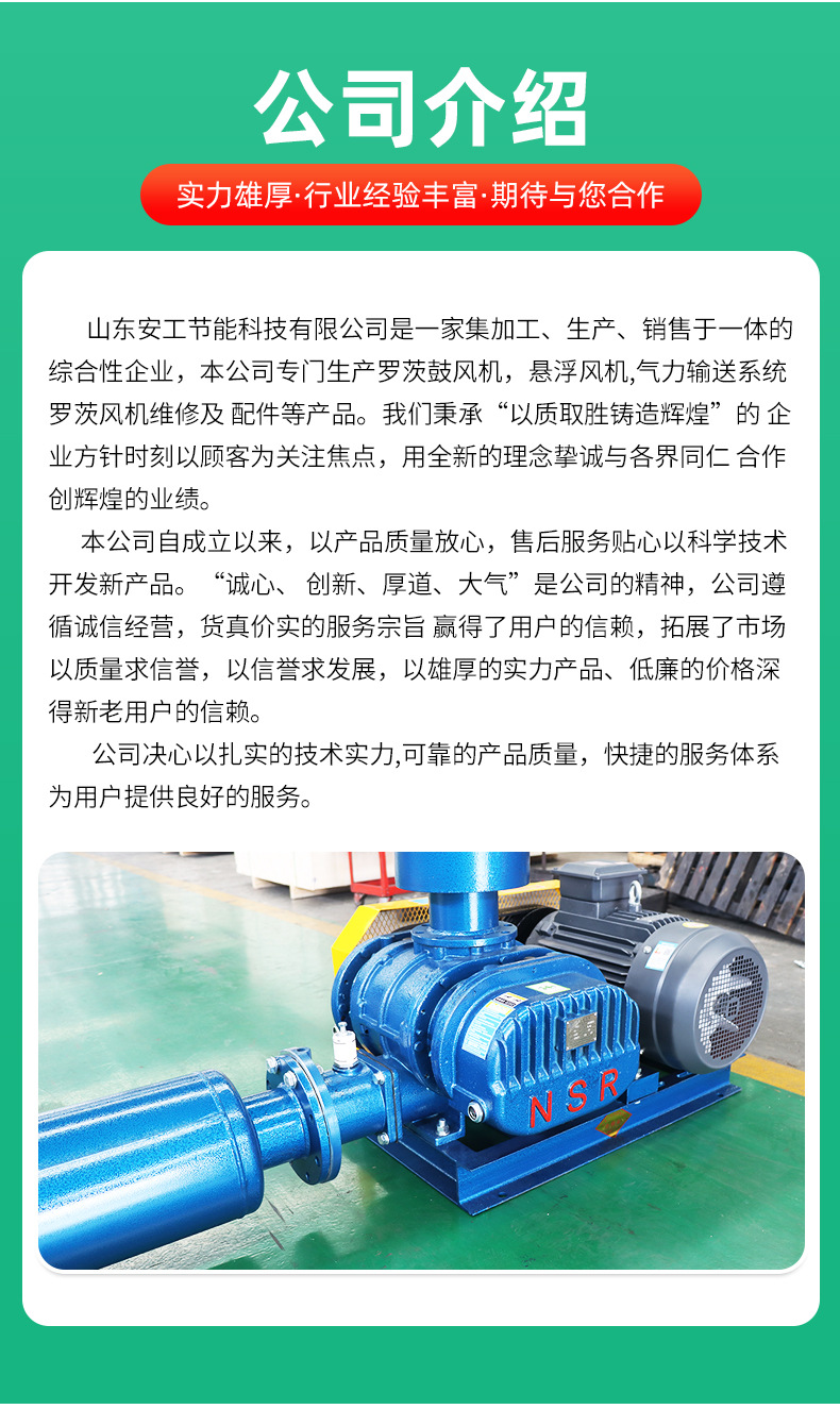 罗茨鼓风机_16.jpg