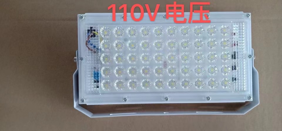 110V 매화 렌즈 화이트 라이트