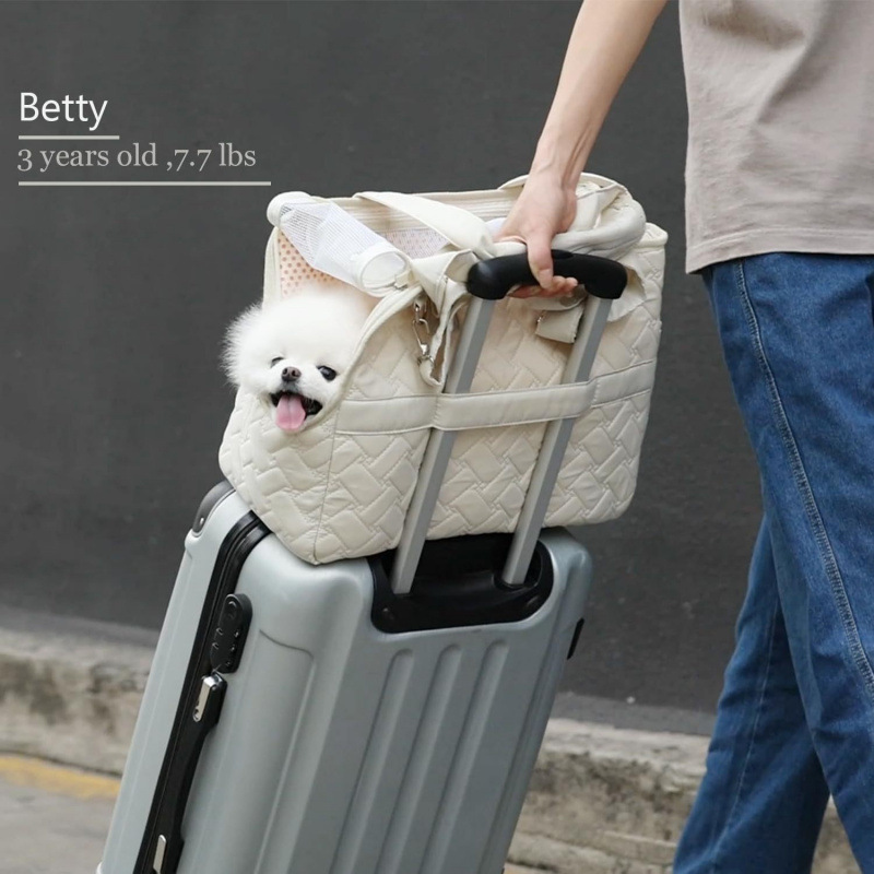 Bolsa de mascotas transfronterizas en stock, bolsa de gato portátil, bolsa de hombro de moda, bolsa para perros, bolsa para gatos, bolsa portátil, bolsa de emergencia