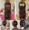 Fashionable crab pin, hair accessory, universal hairgrip, big hairpins, flowered