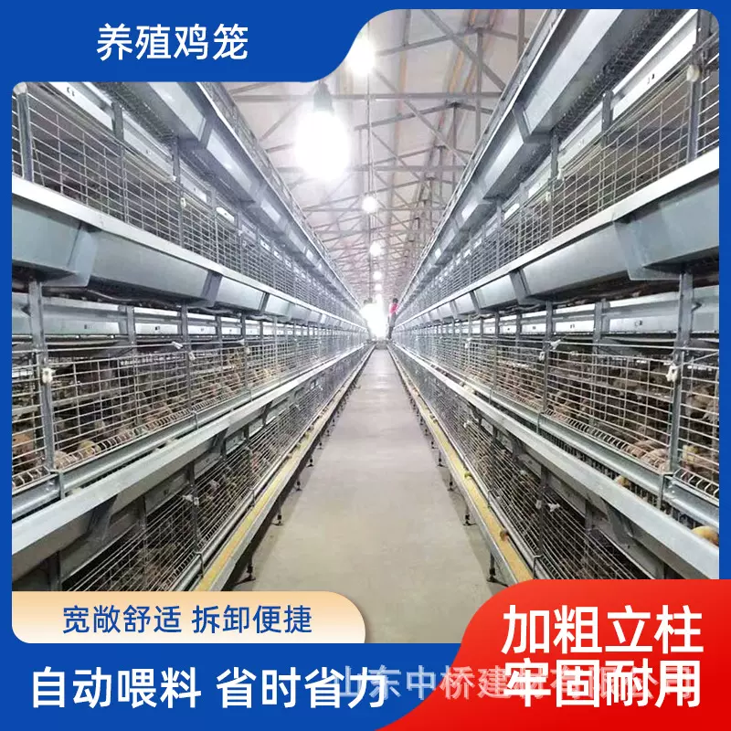 肉鸡笼层叠式框架全自动半自动立体镀锌鸡舍家用养殖捡蛋清粪设备