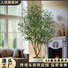 �����ϙ��٘���ͷ����Ř��҃��b���ؿ͏dֲ���������Gֲ