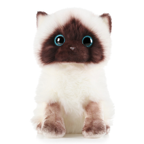 Super cute simulation kitten doll plush toy cute ragdoll Siamese cat doll small doll girl birthday gift