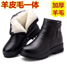 |غ񋌋ѥŮƽ׶ѥӺůЬܛ׷ƤЬ