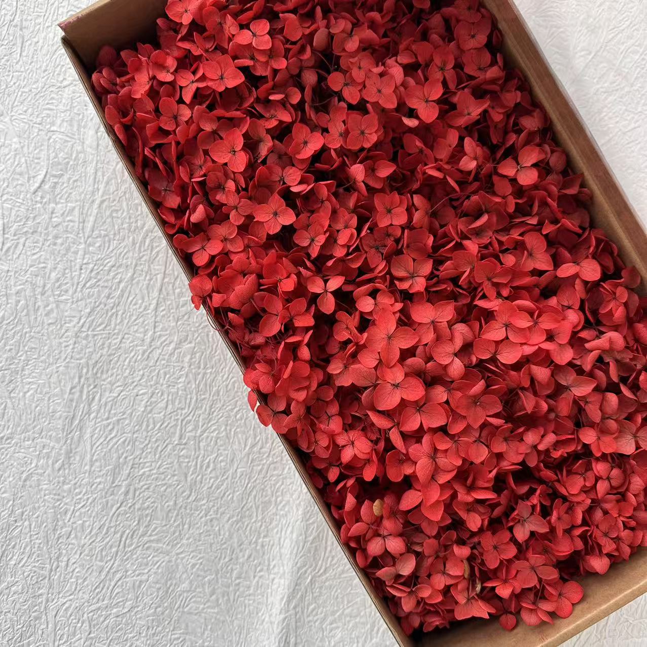 Rouge absorbant la couleur / 5G en boîte