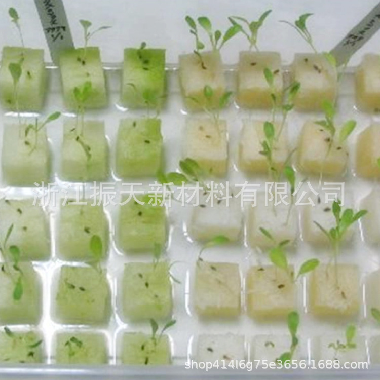 定植无土栽培海绵育苗种植海绵