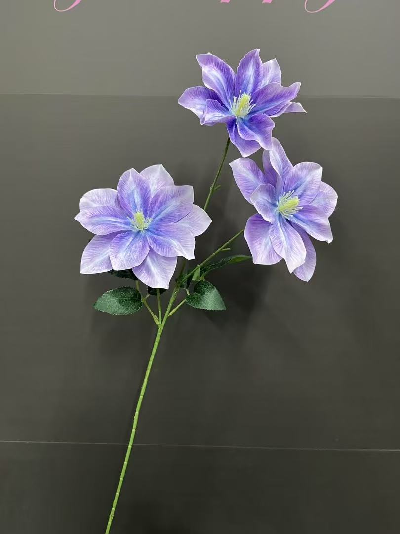 微信图片_20250218094051