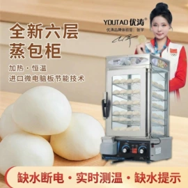 炊事设备;扒炉/铁板烧;煲仔饭机