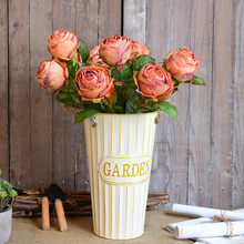 �Ҿ��b��ѻ��껨Ͱ�FƤ�������ò廨�r���F����@��ͰͰͰ��