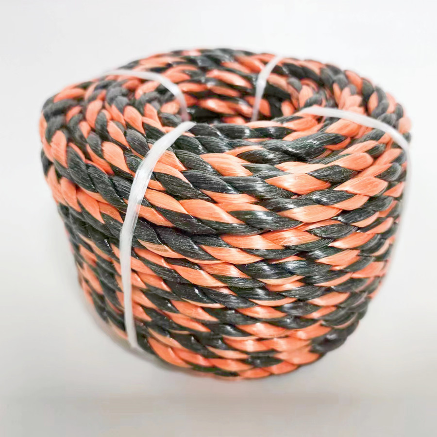 微信图片_20230906162417_副本