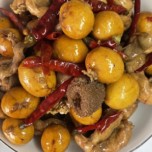 �����خa���غ���Ͱ���u�_����ʳ�����u�s���������c��ʳ��՞���