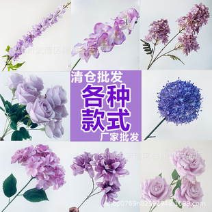 ��ɫϵ��c���滨�ŵ��Ž����ٻ��Ļ�Y���õ��·���b�ˇ���l