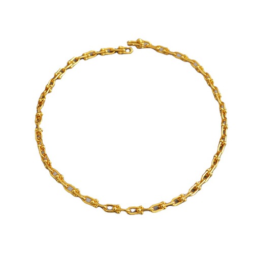 INS Blogger's Style European and American Niche Gold-Tone U-Shaped Clasp Brass Plated 18K Gold Cool Style Thick Chain Necklace