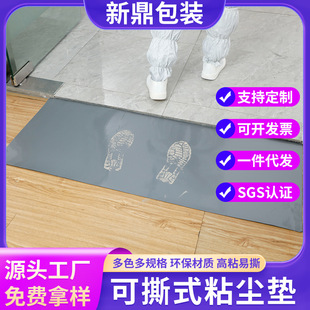 Dust-Absorbing Mat, Dust-Free Purification Workshop, School Laboratory Purification and Dust Removal, Air Shower Room Pe Dust-Absorbing Foot Mat