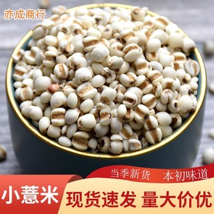 ���r�F��С޲����޲����޲��������s�Z50��޲�����l