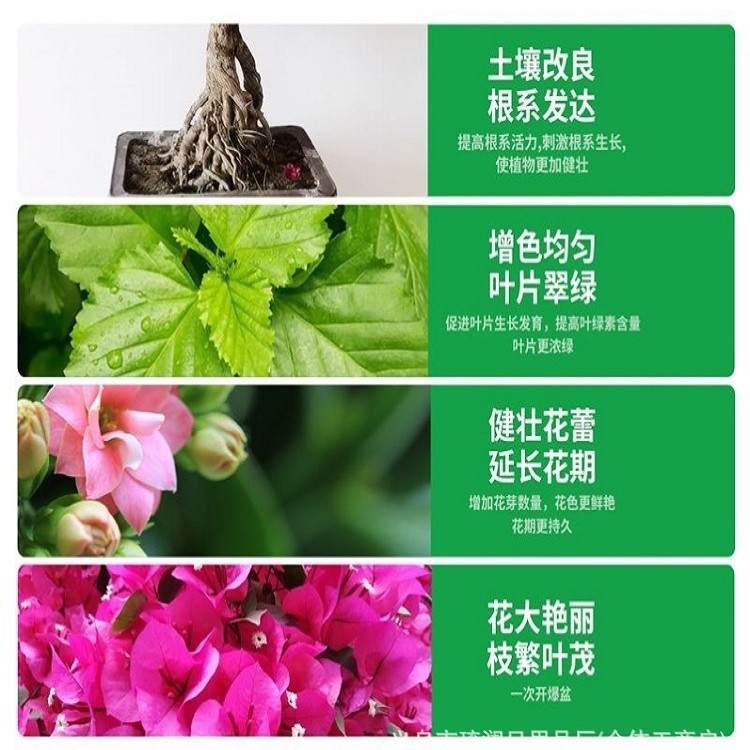急速に花を咲かせます。|undefined