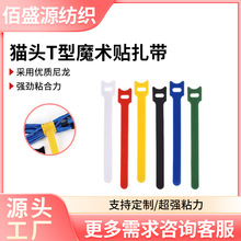 ����؈�^t��ħ�g�N��������������������ռ{��������ëһ�w��ճ