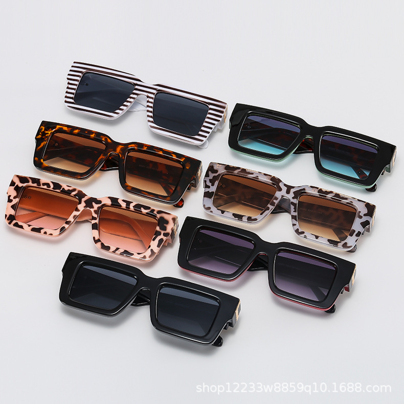 fashionable sunglasses