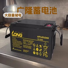 12V65ah太阳能风能存储工业发电系统远程控制广隆蓄电池WP65-12AN