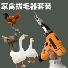 ��̫���ֳ�늄�Óë�C���u���Z�ֳּ��ü��ݰ���ë������ë������