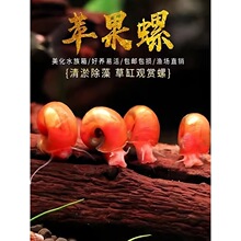 �����^�p���O�����S���ݻ�l�����~�ך�ʳ���^����ϴ�̖������