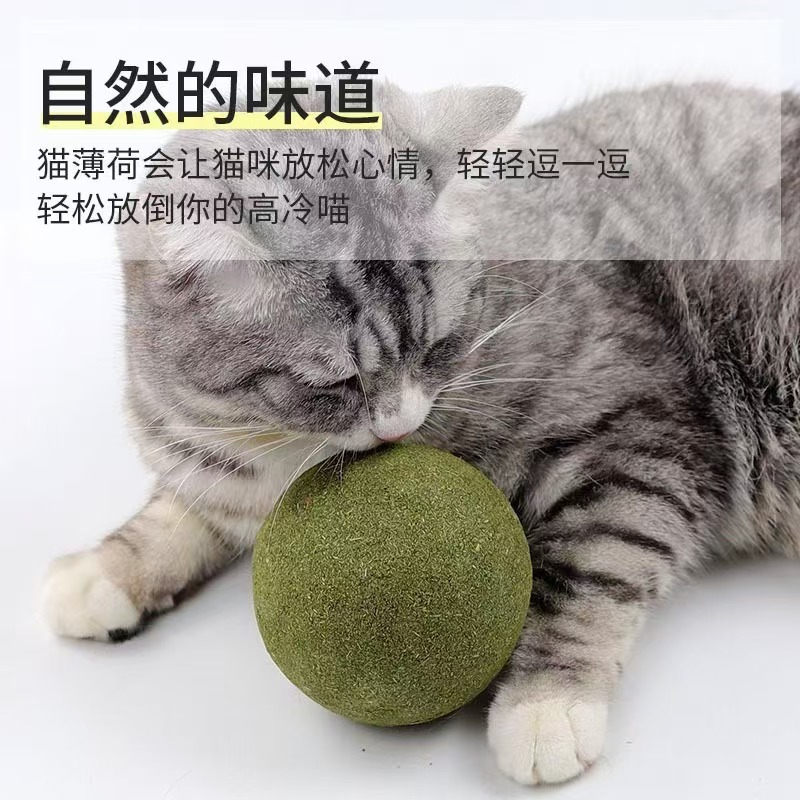 猫薄荷球超大猫玩具自嗨解闷猫猫小猫逗猫棒宠物玩具磨牙神器|undefined