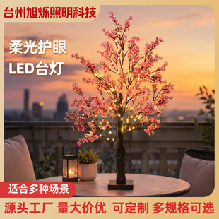 �羳led90���ѻ����b����㻨����}�Q���շՇ����[��������