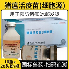 中牧传代猪瘟活疫苗 传代猪瘟细胞源 猪疫苗20头份/瓶兽药猪用