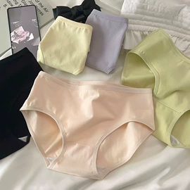 胸贴、乳贴;胸垫、插片;女士三角裤