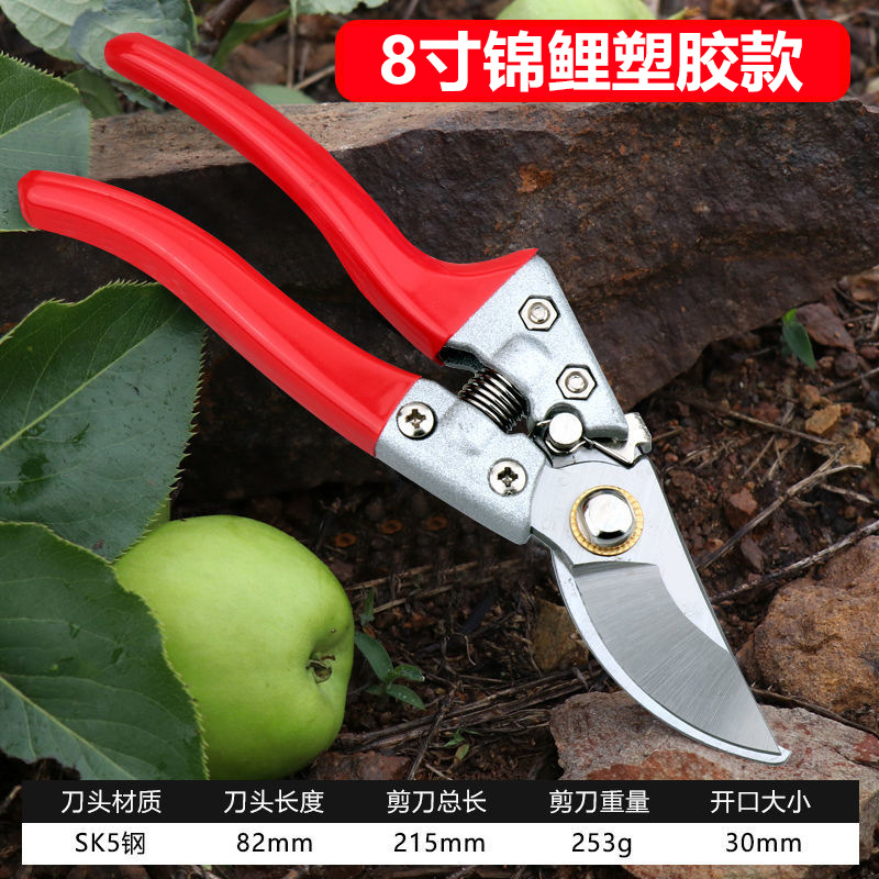 tijeras de jardinería tijeras de corte de árboles frutales al por mayor tijeras de corte de ramas gruesas jardín tijeras para ramas tijeras de corte de flores tijeras de corte tijeras de recolección de frutas