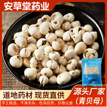 川贝母(青贝)四川达州川贝母中药材无硫川贝母炖雪梨炖汤药食同源