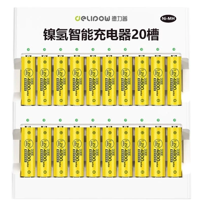 Delip 5 rechargeable battery Hibrid akkumulyator batareyaları - n206-charger-no-5-4800-battery-20-sections