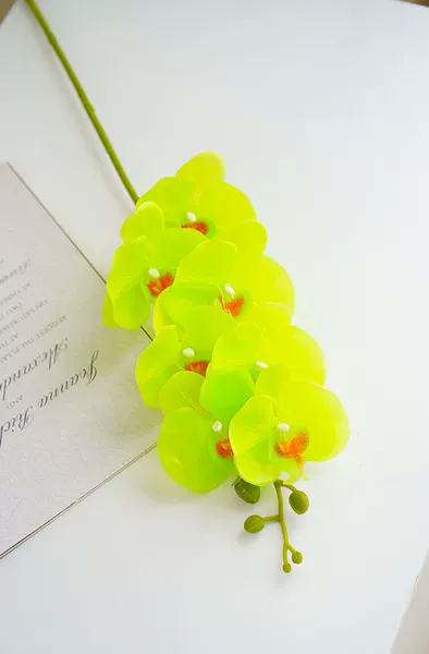 Light green HD003