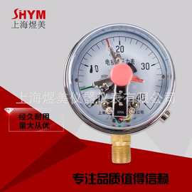 YNXC100 30VA  DC24V磁助油压表水泵压力控制器 耐震电接点压力表