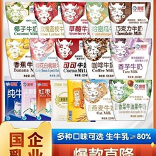 海河牛奶10袋整箱18种口味旗舰款可可巧克力儿童学生早餐奶风味奶