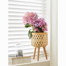 ���Wins�͏d��ֲ�ﻨ�@�����b��̨�پ������@�����ʽ����