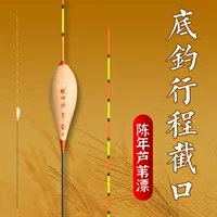 Yuehe Reed плавающая дно Рыбалка порезать карась Карп дрейф Смешанная культура тонкий круглый хвост чувствительный дрейф
