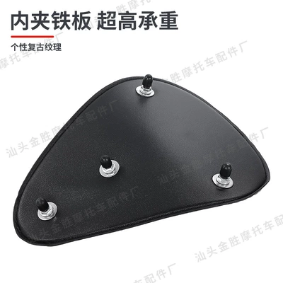 883 Cruiser Bikes, Iron Horse — Motorcycle cushion