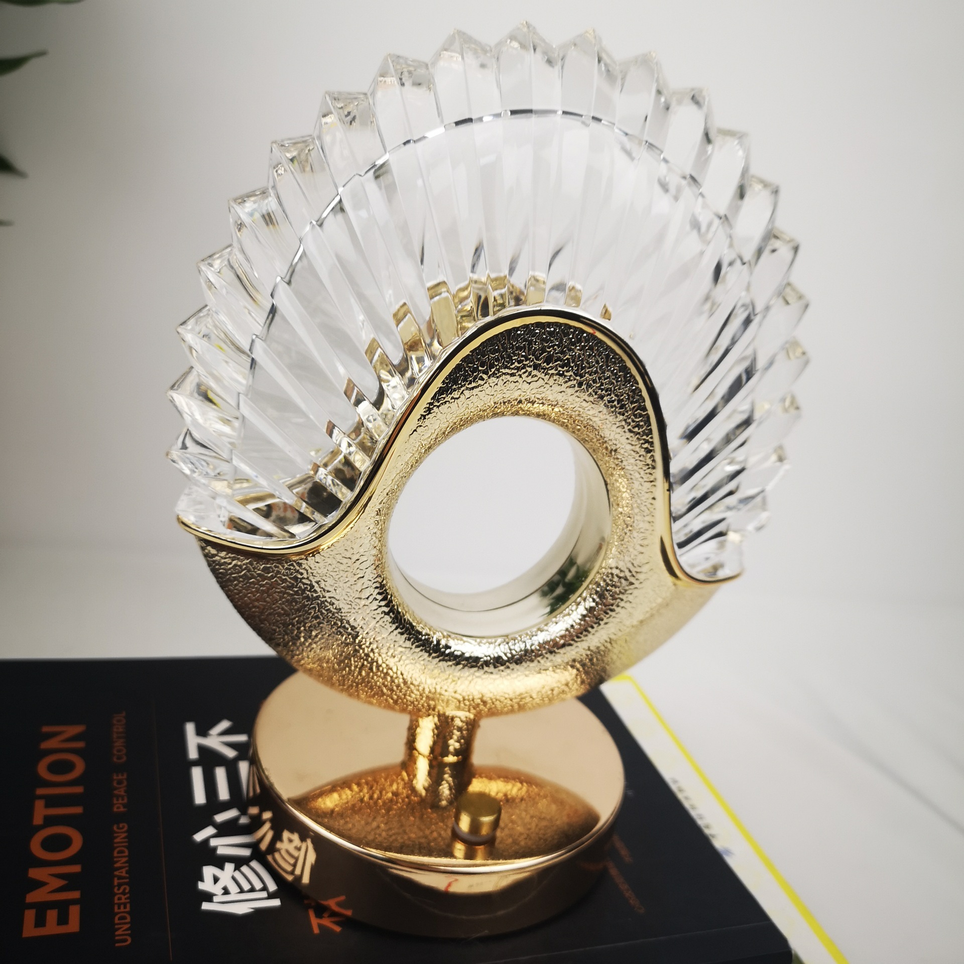 O1CN01lSF86P1ptx52GUY9r_!!2215