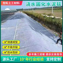 水泥毯浇水固化混凝土毯硬化水渠河道护坡复合毯防渗新型防水毯