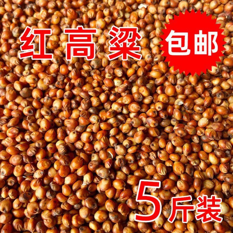 高粱米红高粱去壳带皮新高粱酿酒高粱酿醋喂鸽子饲料红高粱
