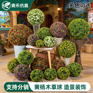 ����ֲ������S��ľ��Gֲ�b�����ϼٻ��̈��_�I������ꐵ��