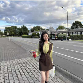 假两件元气张阿星撞色气质背带翻领连衣裙女2026年新款短裙子