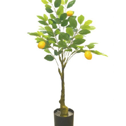 Simulación de limonero en maceta lemonTree Bonsai interior plástico pequeño árbol frutal planta verde Simulación de limonero
