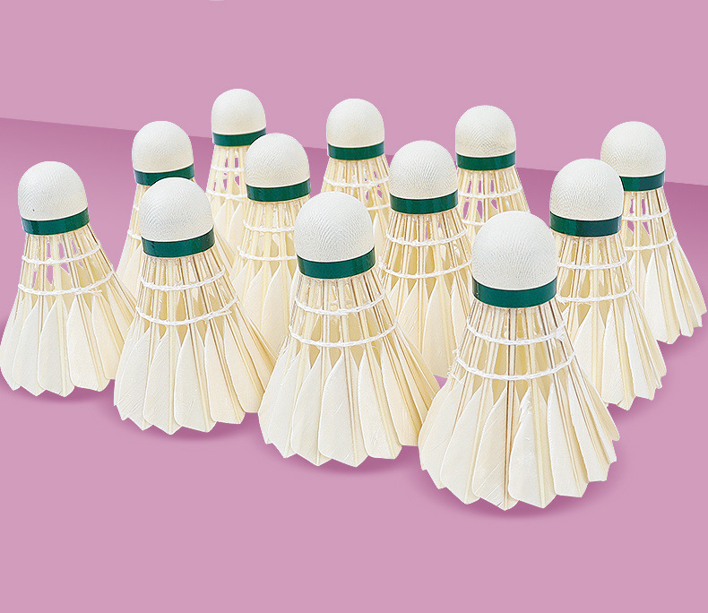 4a3f8de4-623c-49b5-9e66-e1bc9a1fd40b.jpe