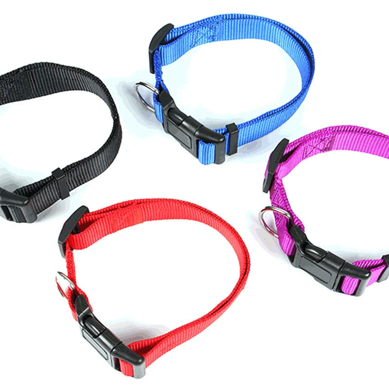 Оптовая продажа товаров для домашних животных Собачья цепочка простые нейлоновые воротники для домашних животных
