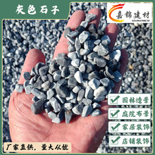 灰砾石天然灰色碎石枯山水庭院铺路滤料市政绿化工程砾石工厂直供