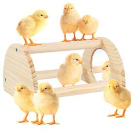 木质宠物鸡架家用实木松木小鸟站立训练架子母鸡训练玩具桌面摆件