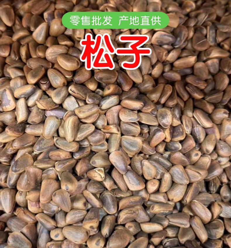 Northeast Open Shell Pine Nuts Hand Peeled Nut Kernels Fresh Snack Retail and Wholesale overview